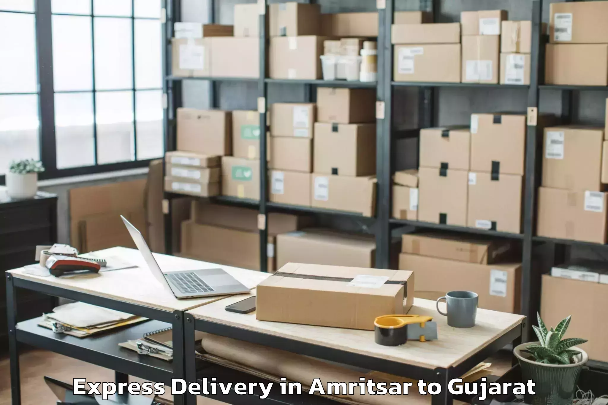 Leading Amritsar to Vansda Express Delivery Provider